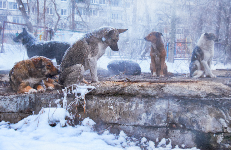 Фото: iStock