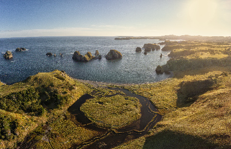 Фото: istockphoto.com