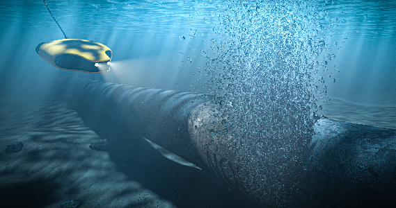 istockphoto
