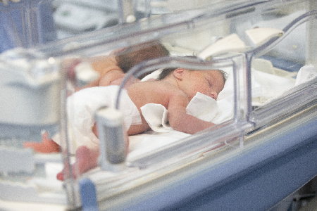 Фото: iStock/Sviatlana Lazarenka