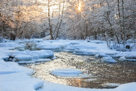 istockphoto/TT