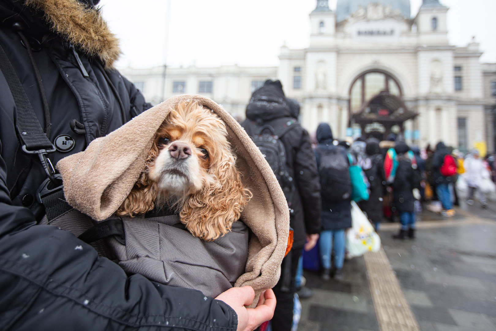 Юбку ветром унесло! Звезды, которые попали в неловкую ситуацию из-за погоды