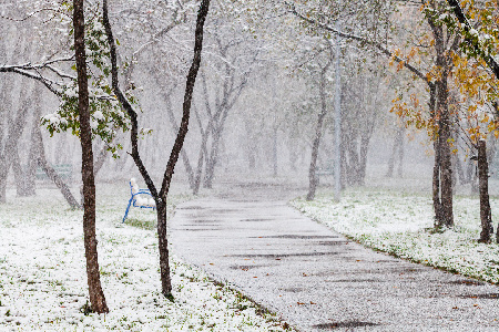 Фото: istockphoto/VvoeVale