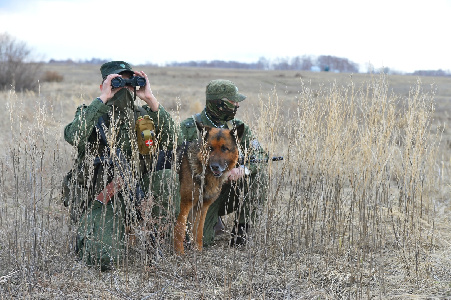 Курские пограничники приземлили FPV-дрон ВСУ с помощью РЭБ