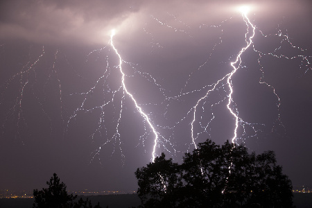 Фото: iStock/Jurkos