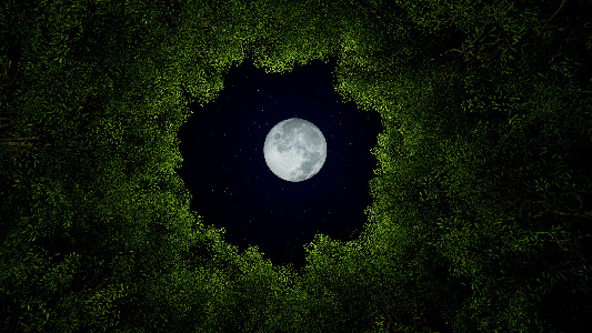 Фото: IStock/UnitedPixels