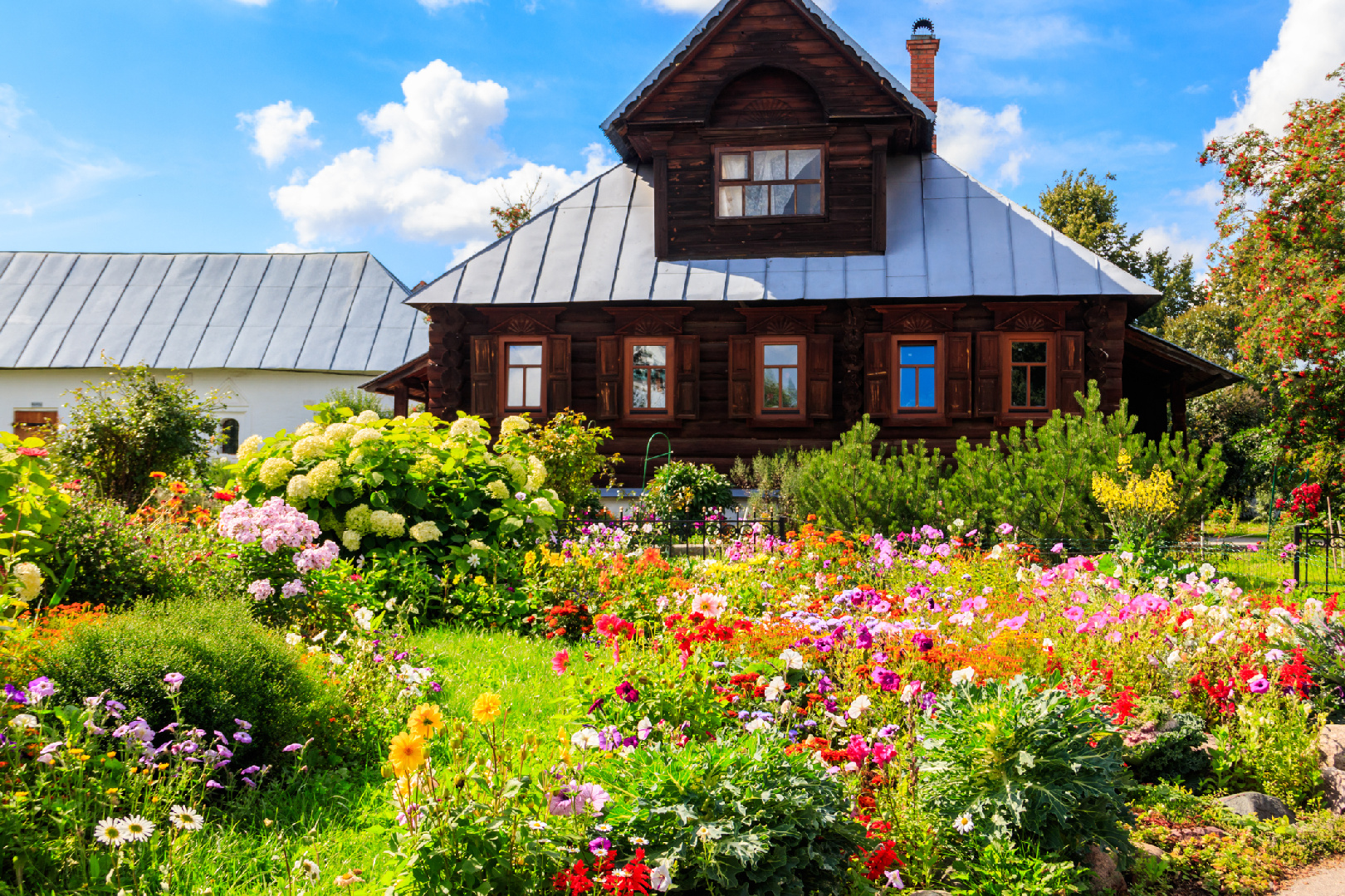 Фото:istockphoto/OlyaSolodenko