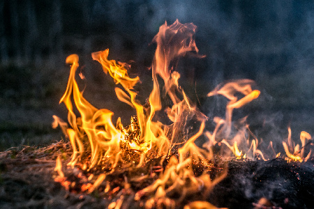 Фото: iStock/TonyFuse