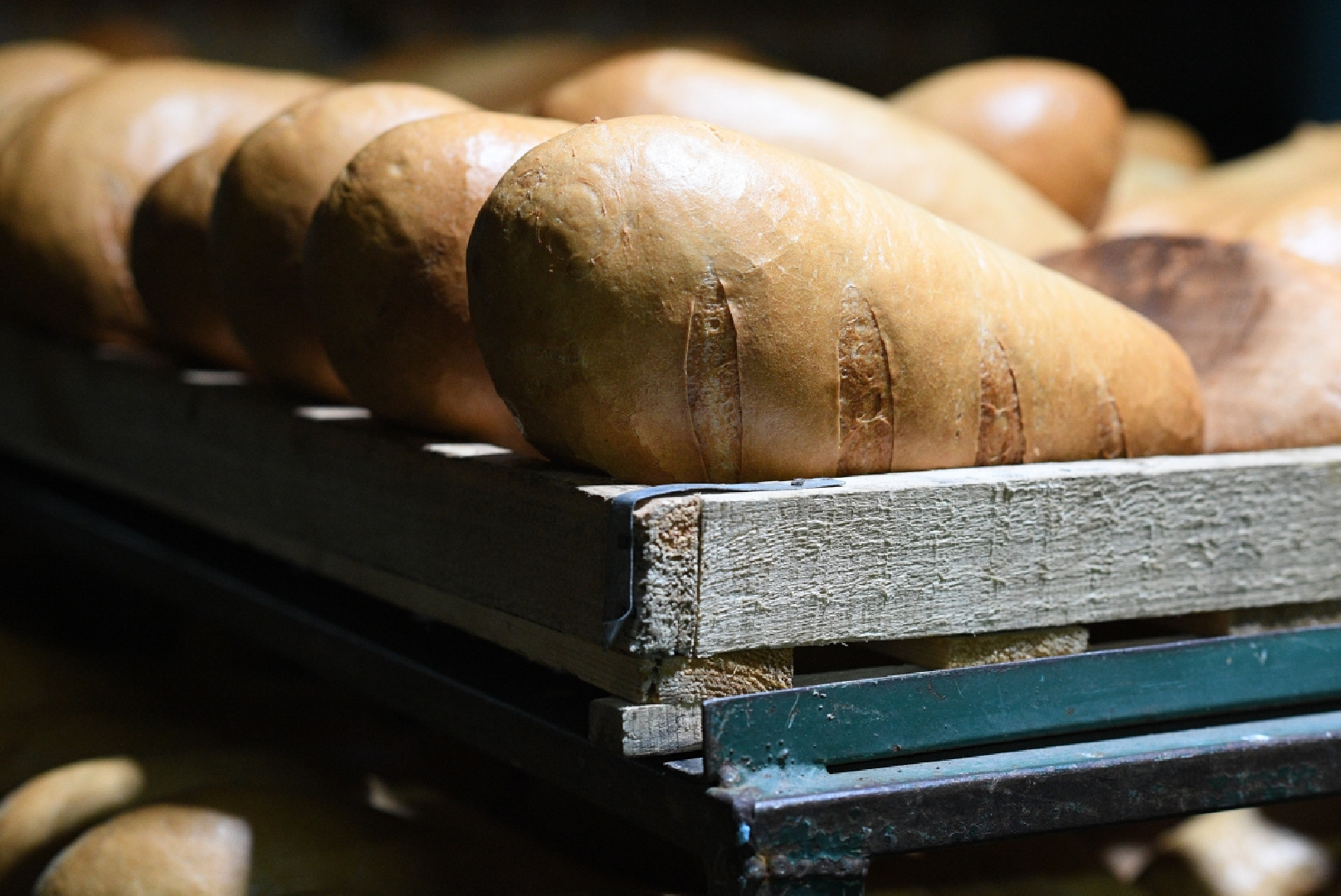В случае появления признаков картофельной болезни хлеба полки обрабатывают 3 уксусной кислоты