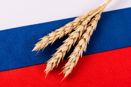 Фото: iStock/Max_Zolotukhin