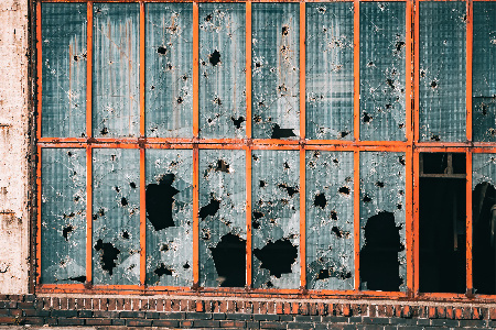 Фото: iStock/frantic00