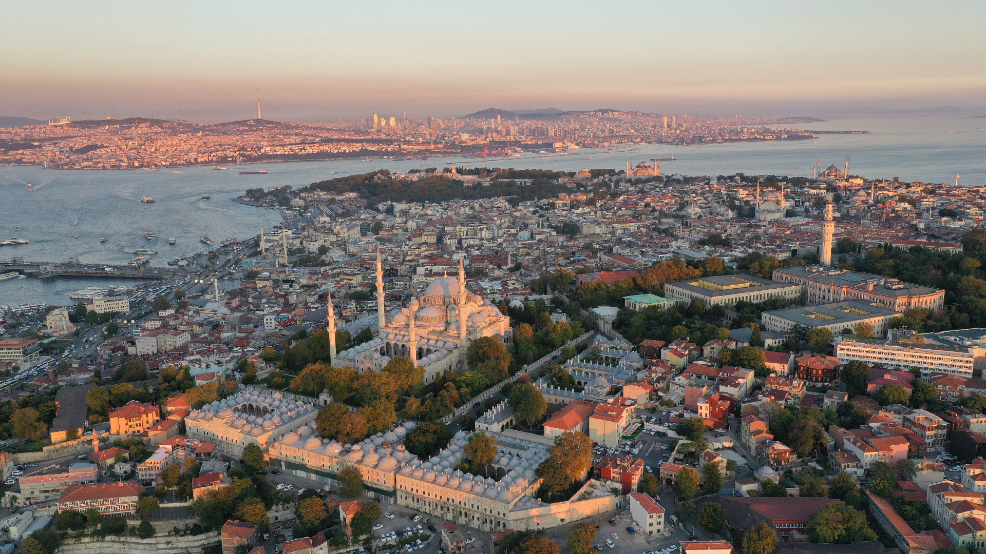 Фото: iStock/Explora_2005