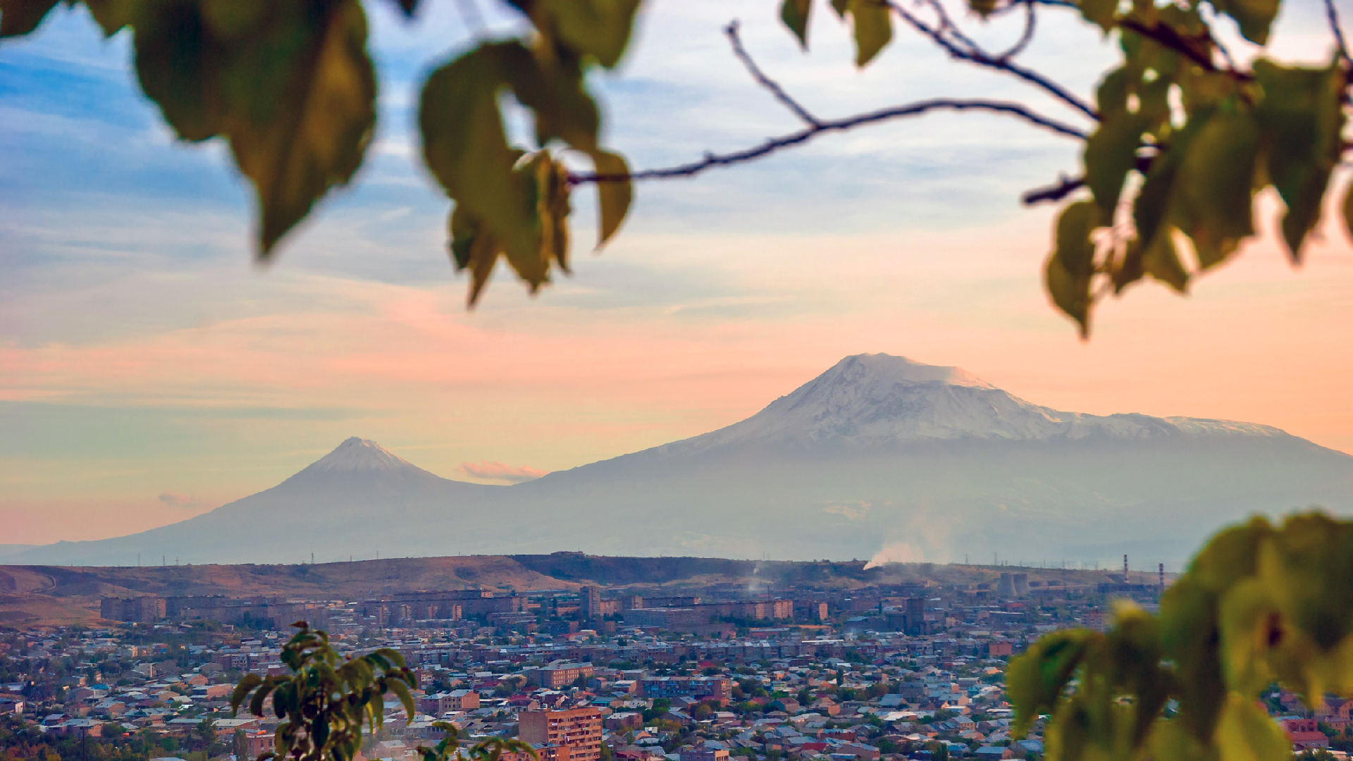 Фото: iStock/1255k
