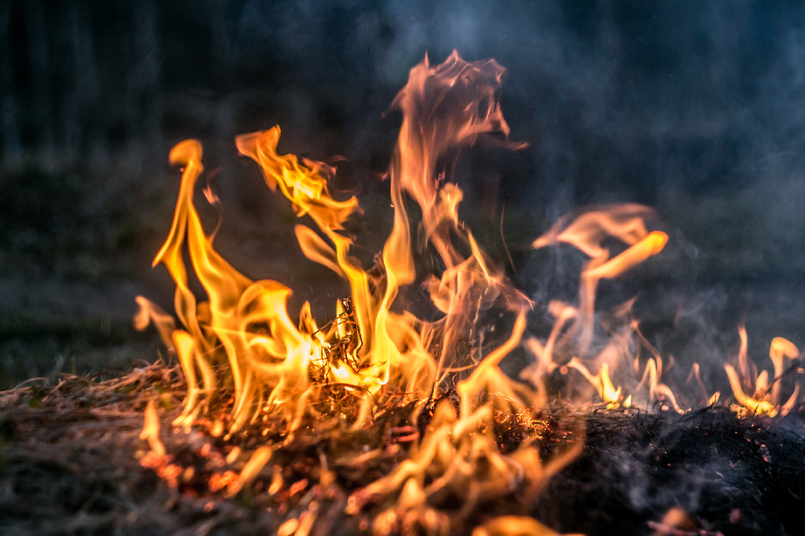 Фото: istock / TonyFuse