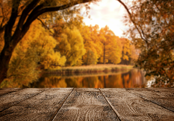 Фото: iStock/Nastco
