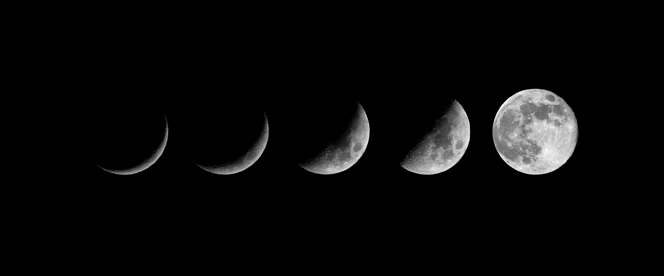 Астролог Ракунова рассказала, на что указывают фазы Луны в день рождения