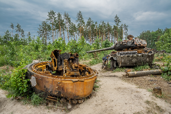 Фото: istockphoto/Vitalii Livadnyi