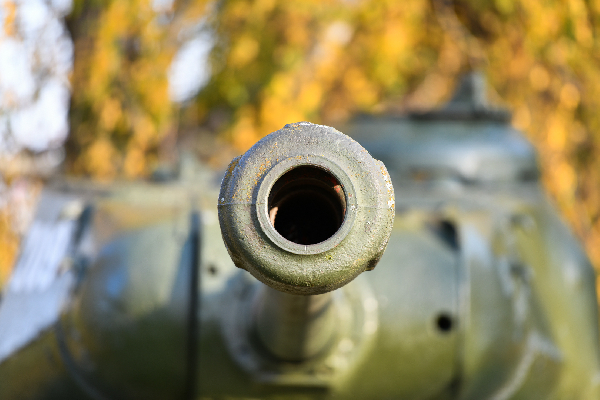 Фото: iStock/ULADZIMIR CYARGEENKA