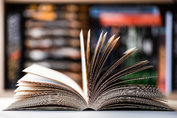 Украинские власти массово избавляются от русскоязычных книг