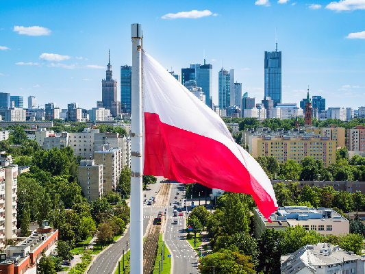 Фото: istockphoto/dzika_mrowka