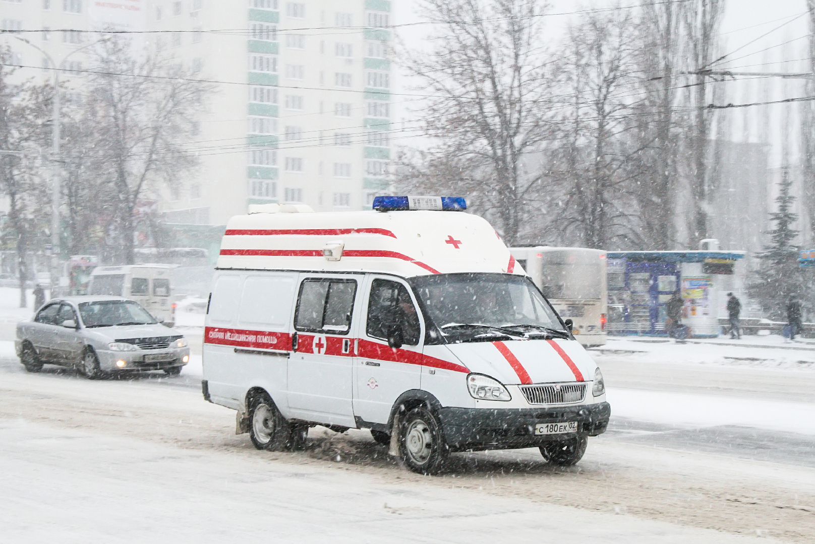 В Ленобласти 13-летний мальчик приехал к бабушке в гости и впал в кому |  Радио 1