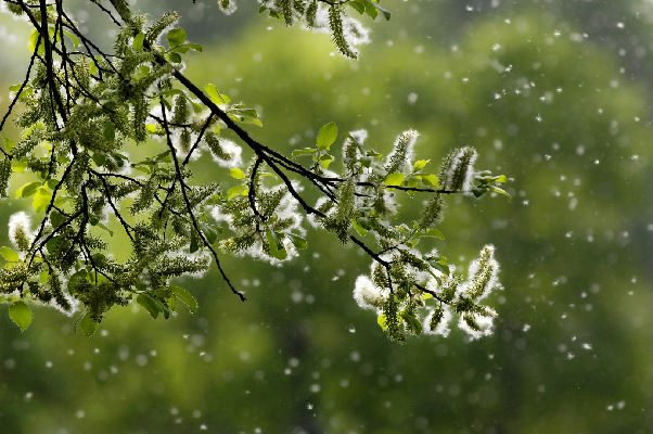 Фото: istockphoto.com/Alkimson