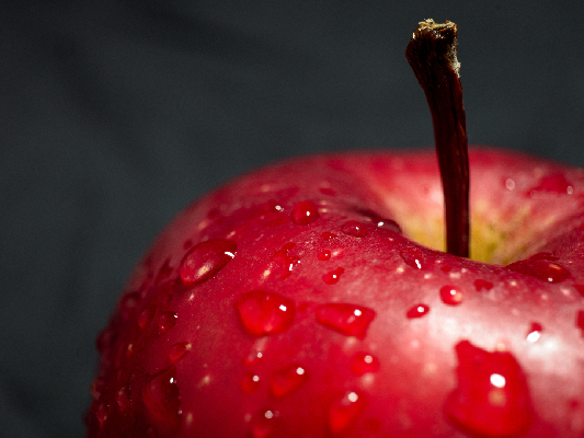 Фото: iStock/Pikke