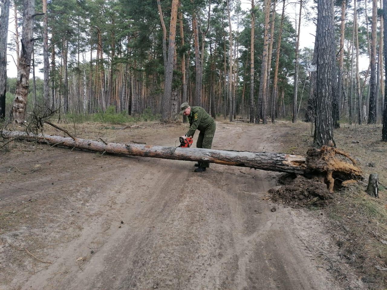 Жену в три ствола: недюжинная коллекция порно видео на trokot-pro.ru