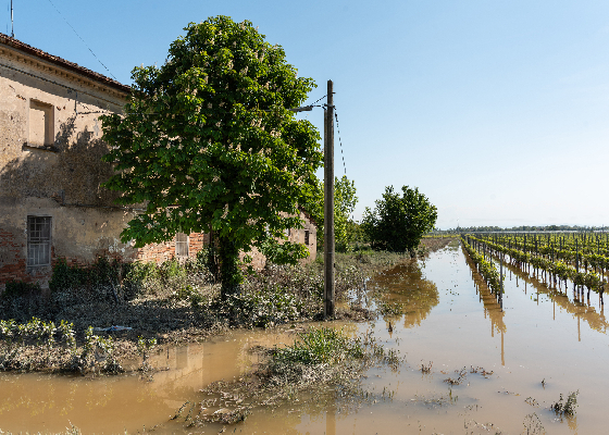 Фото: istockphoto/Stefano Marzoli