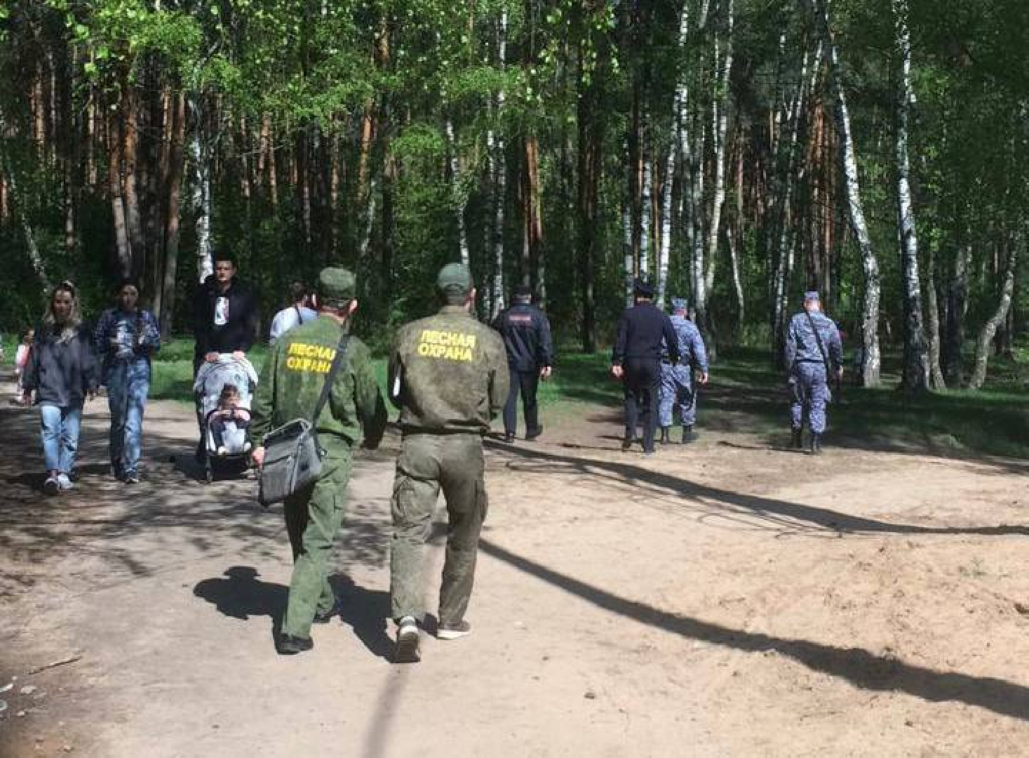 Кузьминский лесопарк в Котельниках проверили на противопожарную  безопасность | Радио 1