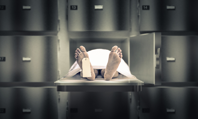 Фото: iStock/tiero