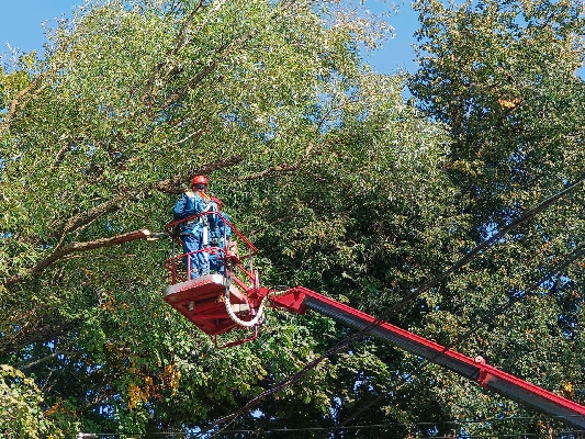 Фото: пресс-служба Минэнерго МО
