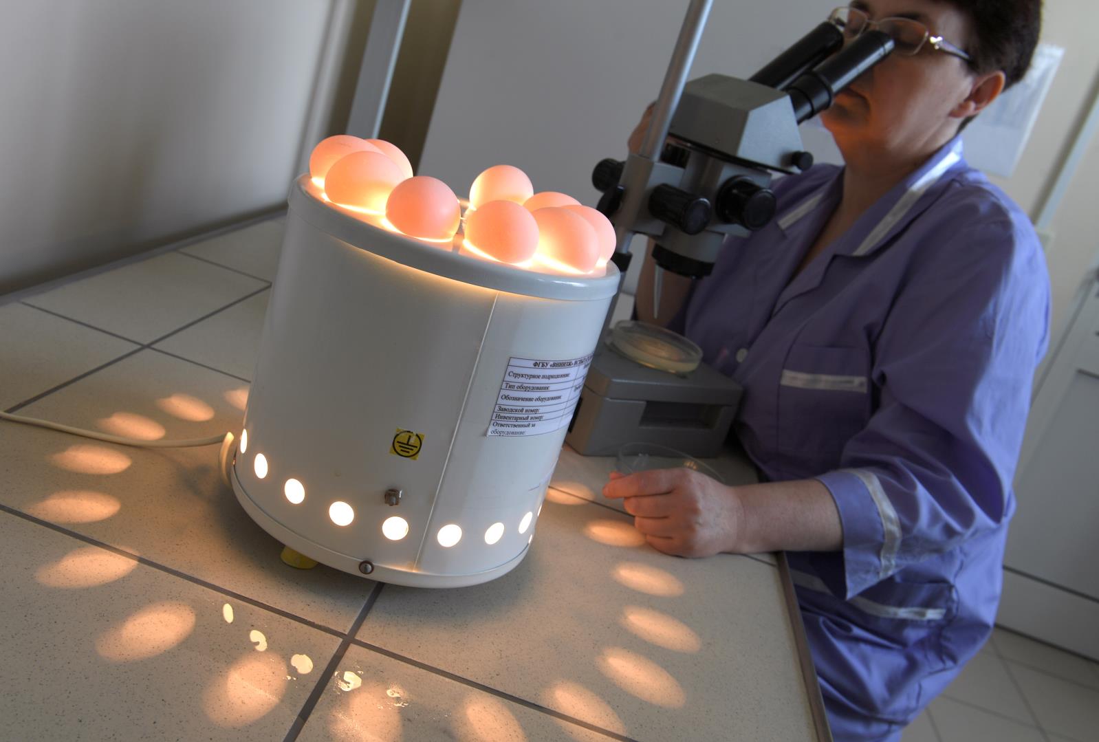 Аппарат для проверки яиц на свежесть