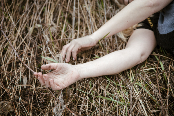 Фото: iStock/Biserka Stojanovic