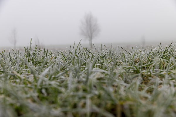Фото: istock/ligora