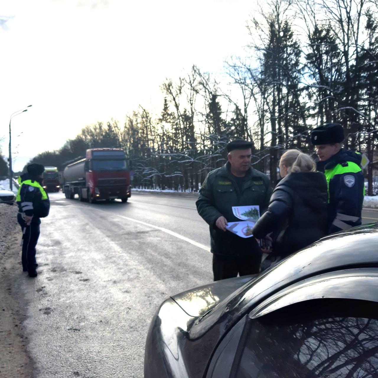 Фото: пресс-служба Комлесхоза МО