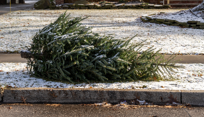Фото: iStock/Tyler Tomasek