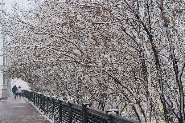 Фото: iStock/Yury Karamanenko 
