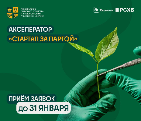Школьников Подмосковья приглашают в новый сезон акселератора «Стартап за партой»