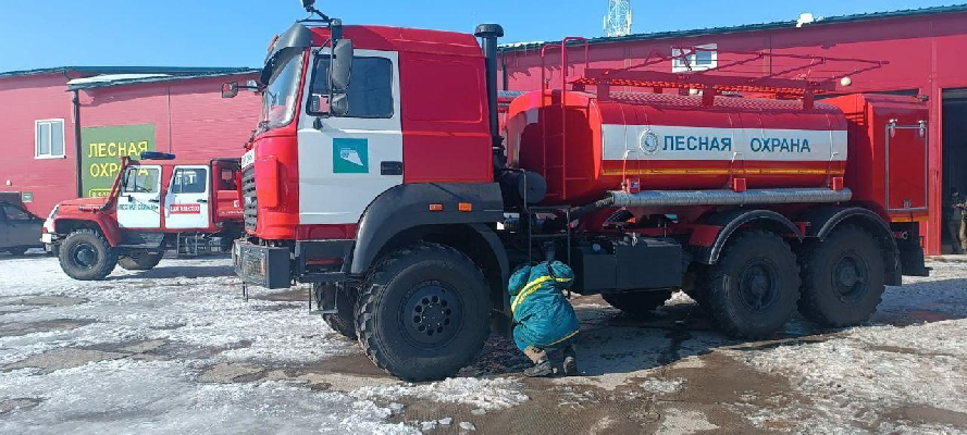 Фото: пресс-служба Комлесхоза МО