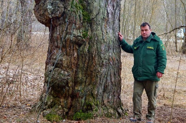 Фото: пресс-служба Комлесхоза МО