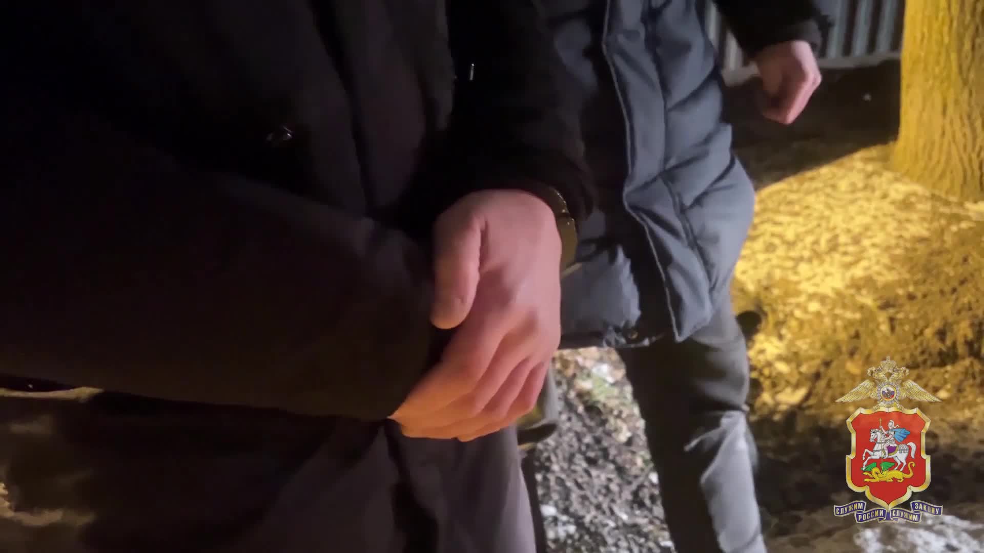 В Подмосковье поймали серийного вора из частных домов