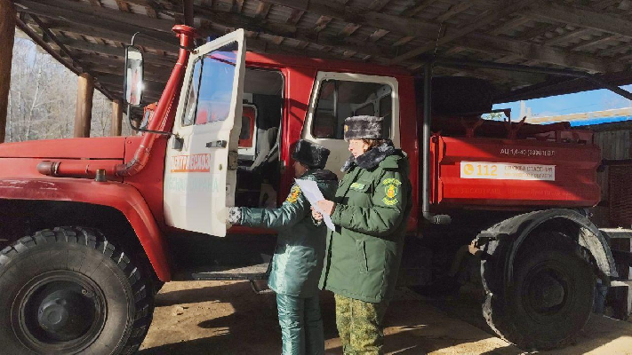 Фото: пресс-служба Комлесхоза МО