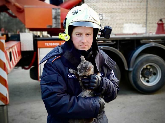 Фото: пресс-служба Мособлпожспаса