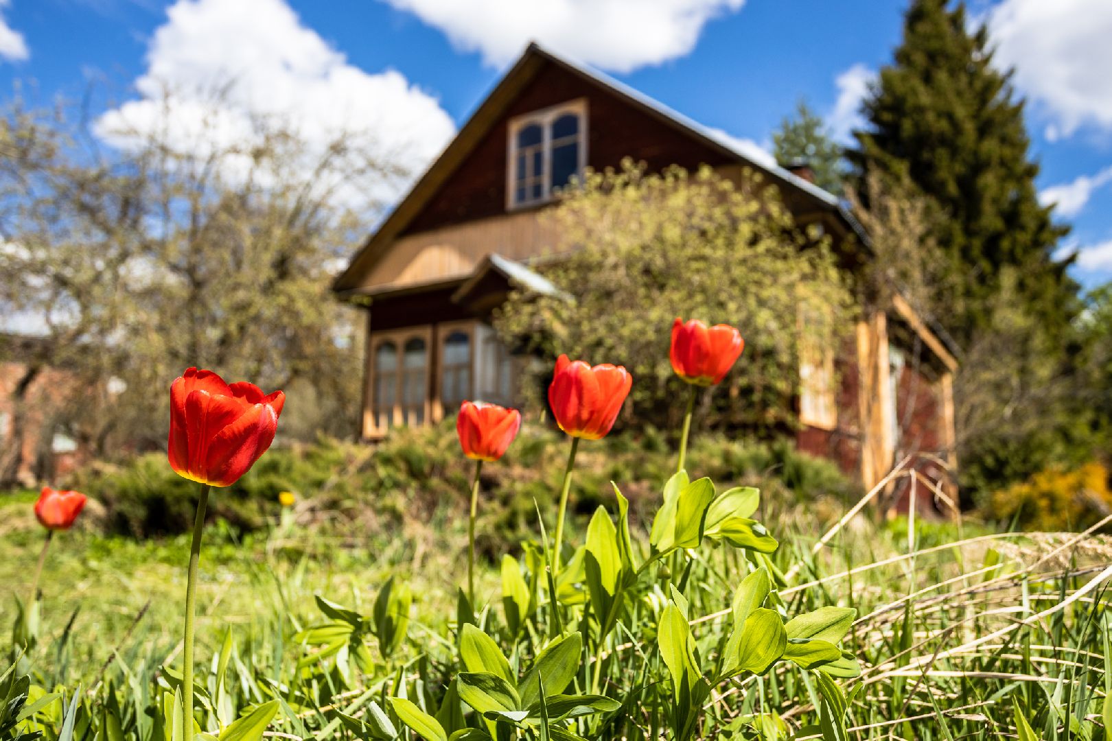 Фото: iStock/VvoeVale