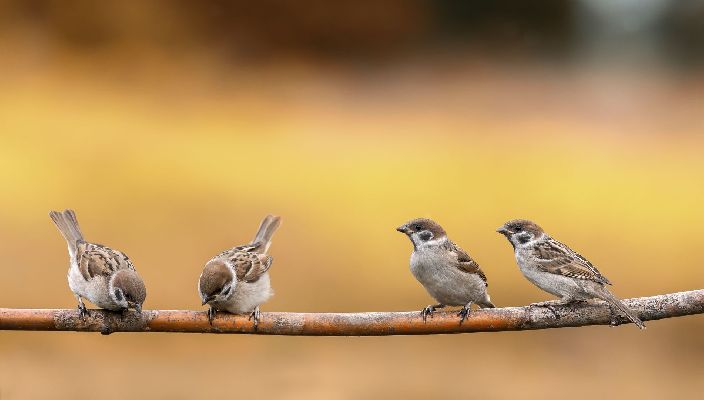 Фото: iStock / Nataba