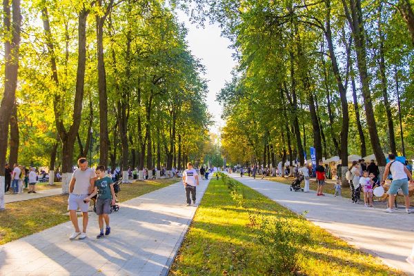 Фото: пресс-служба Министерства благоустройства МО