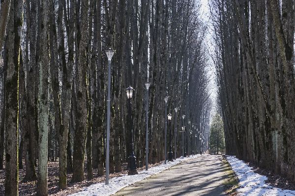 Фото: iStock/Irina Kononova