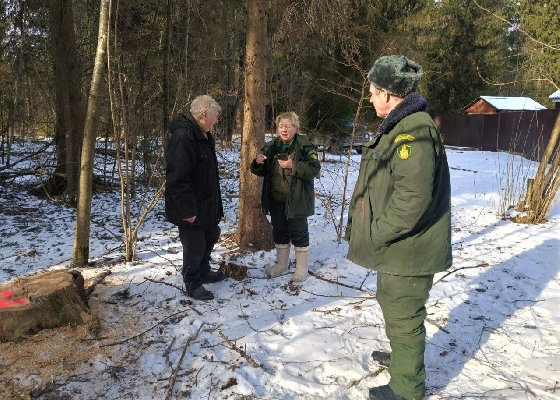 Фото: пресс-служба Комлесхоза МО