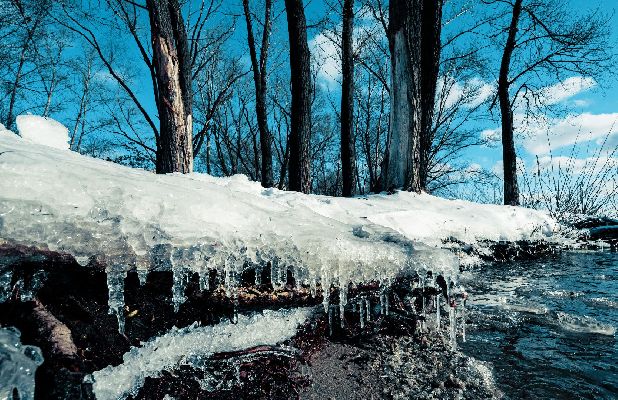 Фото: iStock/6okean